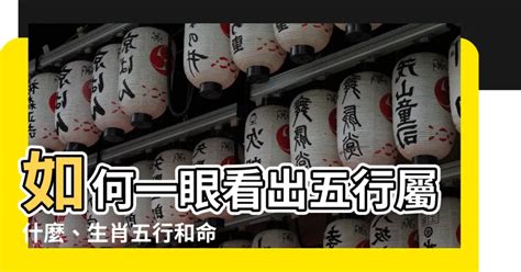 怎麼知道五行屬什麼|【如何知道自己五行屬什麼】你的命格、顏色、生肖五。